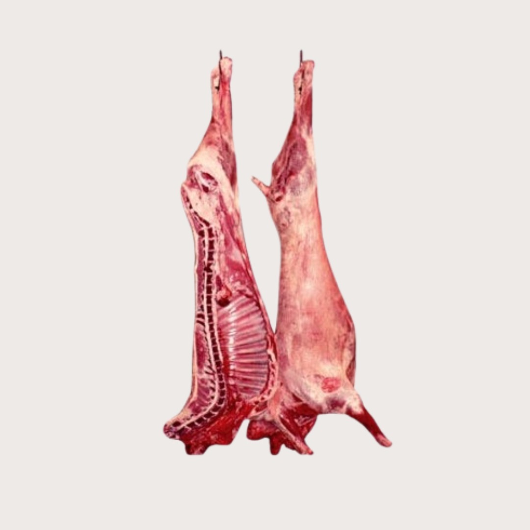 Whole lamb — halal certified
